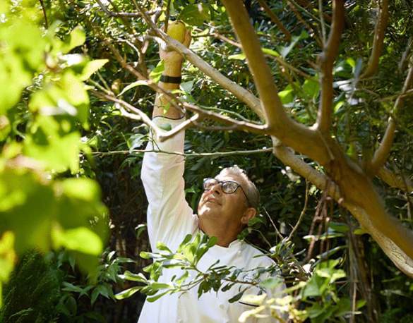 Regent Seven Seas Cruises Epicurean Enrichment Studio Chefs Table Hero image ©RSSC.jpeg